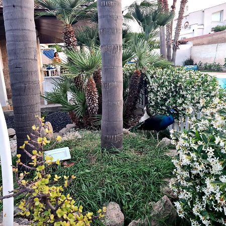 Dependance Oscar Daire Carrozziere Fonte Ciane Dış mekan fotoğraf