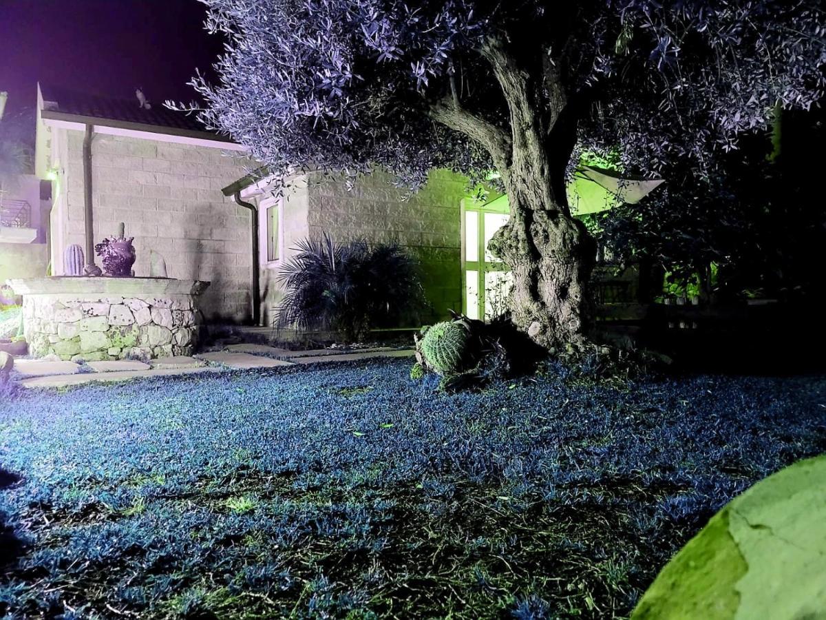Dependance Oscar Daire Carrozziere Fonte Ciane Dış mekan fotoğraf