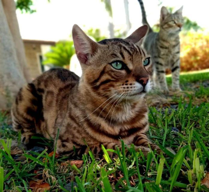 Dependance Oscar Daire Carrozziere Fonte Ciane Dış mekan fotoğraf